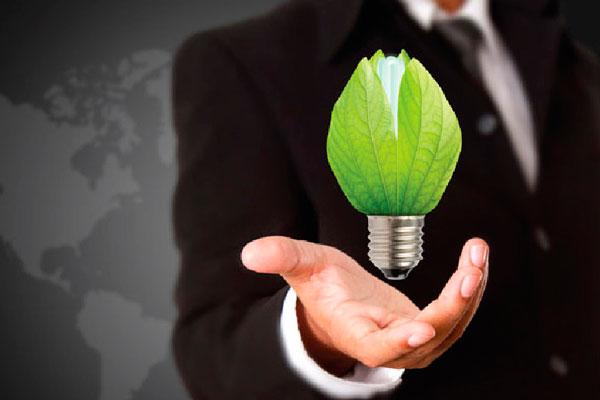Sustentabilidade para empresas: 20 dicas simples